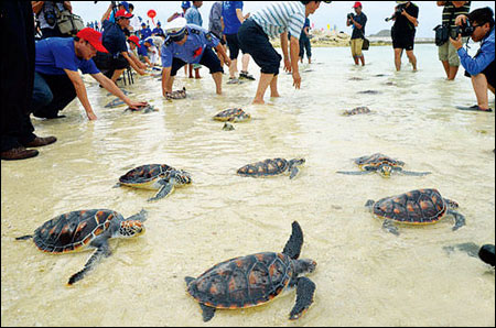 28306b01be614a20b735b19df2ec285c